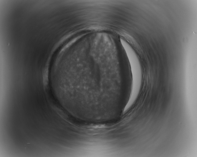 X0000088070484200706081712