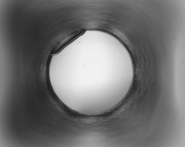 X0000088070485200706081712