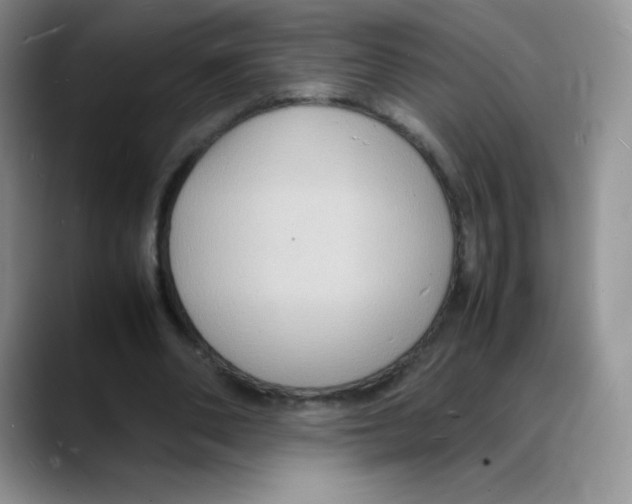 X0000088070486200706081712