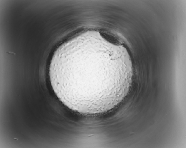 X0000088070487200706081712