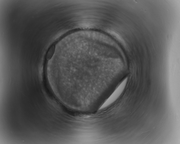 X0000088070488200706081712