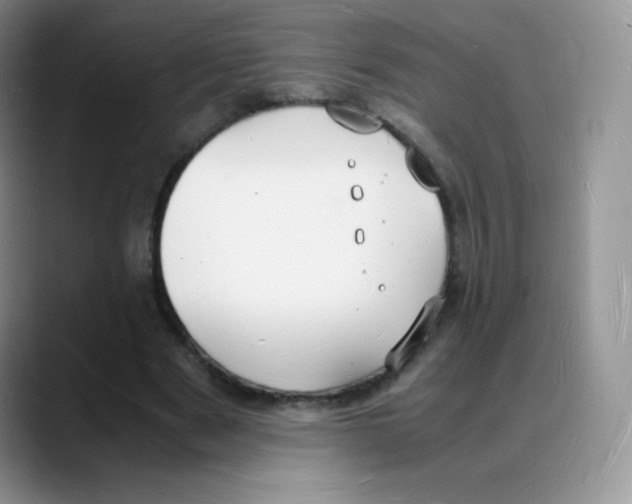 X0000088070489200706081712