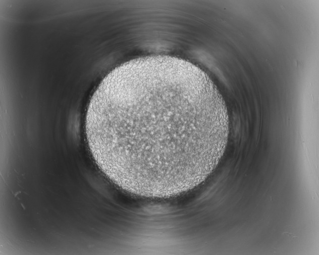 X0000088070494200706081712