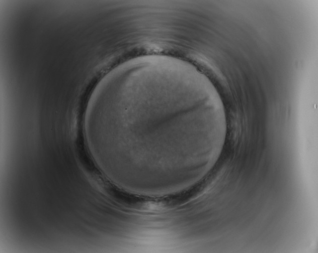 X0000088070496200706081712