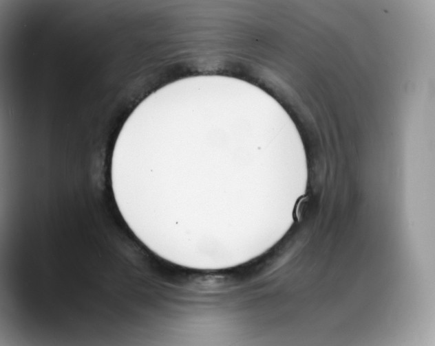 X0000088070497200706081712
