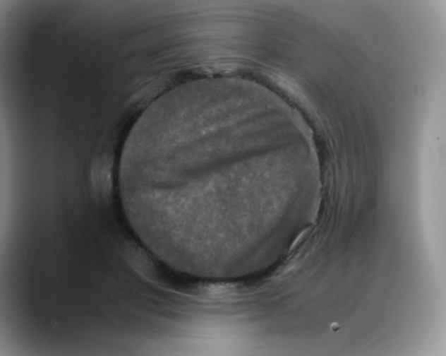 X0000088070501200706081712