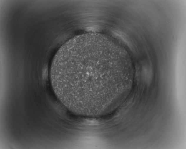 X0000088070502200706081712