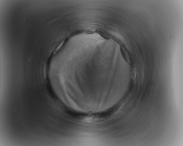 X0000088070504200706081712