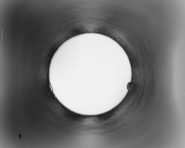 X0000088070505200706081712