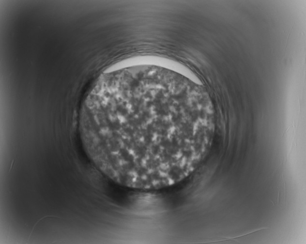 X0000088070507200706081712