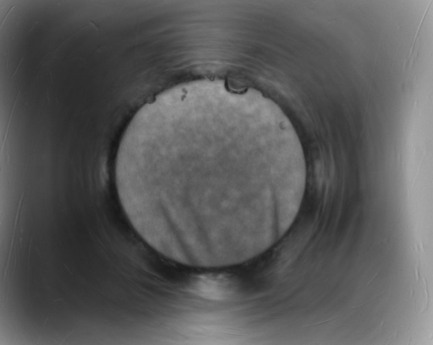 X0000088070508200706081712
