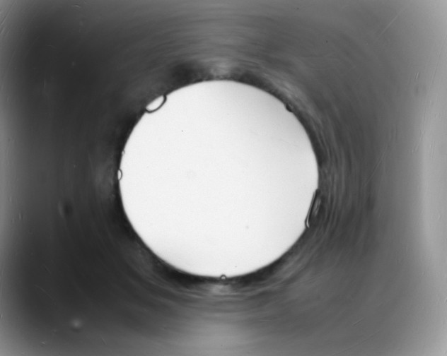 X0000088070509200706081712