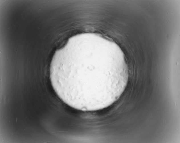 X0000088070511200706081712