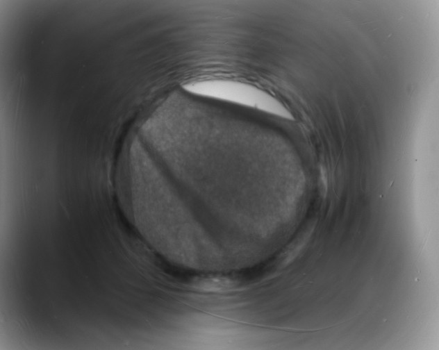 X0000088070512200706081712