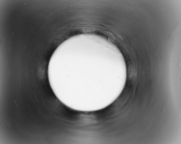 X0000088070515200706081712