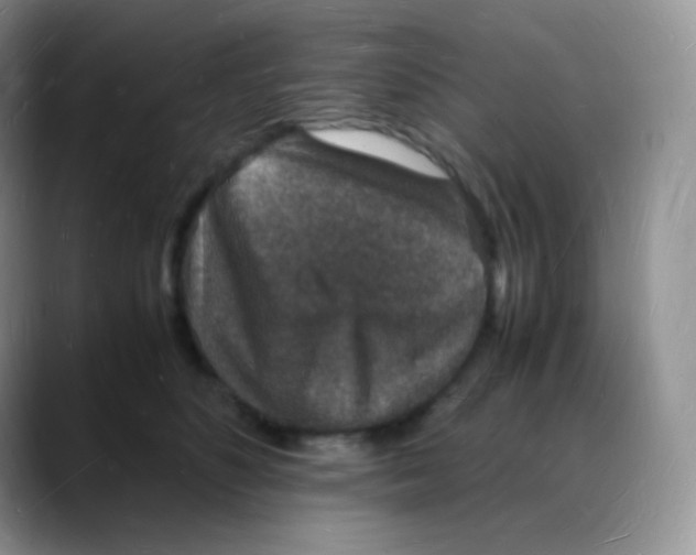 X0000088070516200706081712