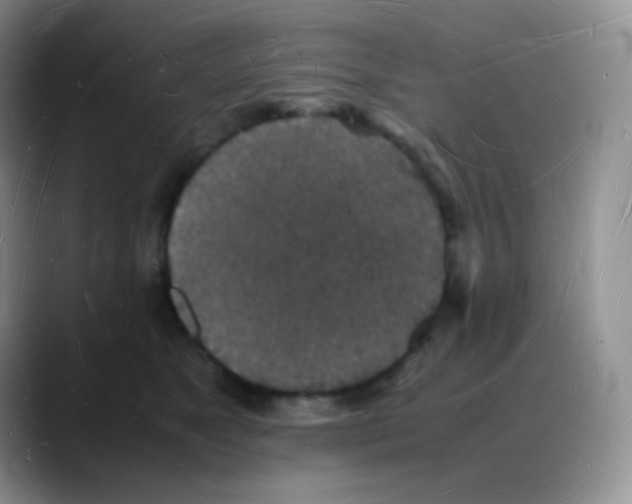 X0000088070517200706081712