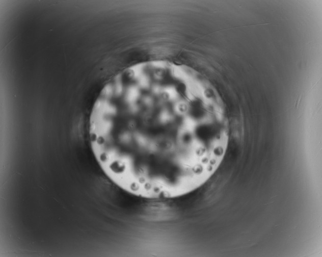 X0000088070519200706081712
