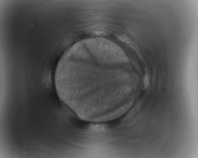 X0000088070520200706081712
