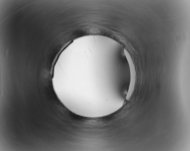 X0000088070521200706081712