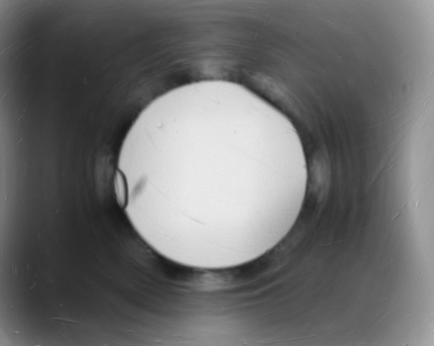 X0000088070522200706081712