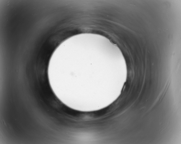 X0000088070525200706081712