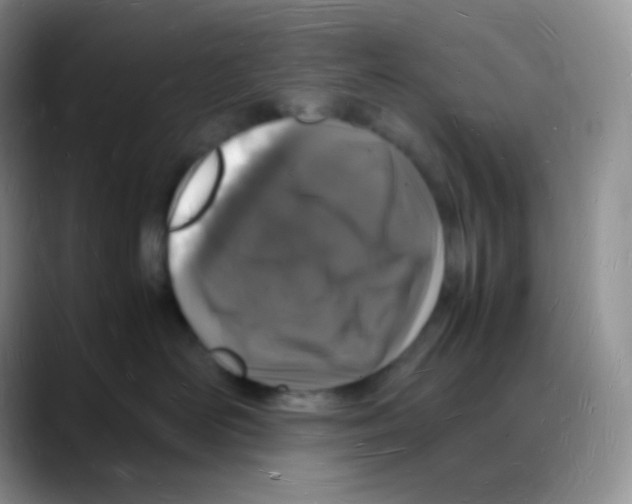 X0000088070526200706081712