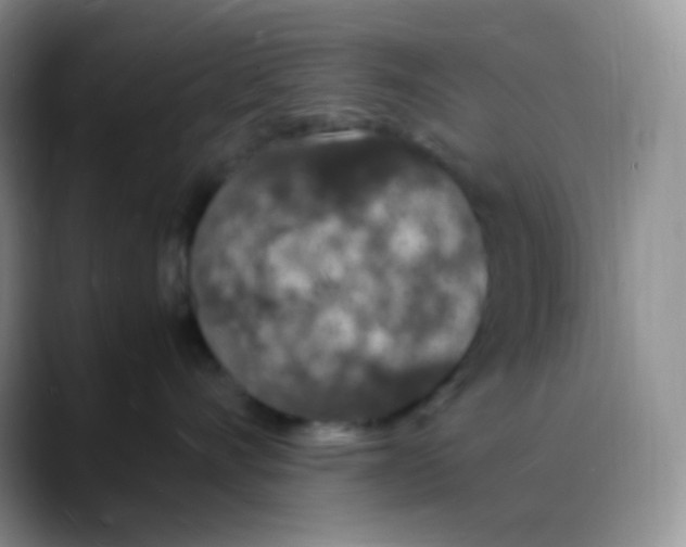 X0000088070528200706081712