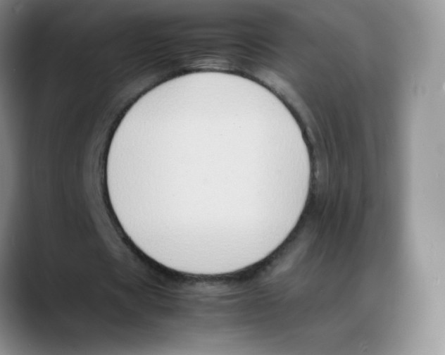 X0000088070529200706081711