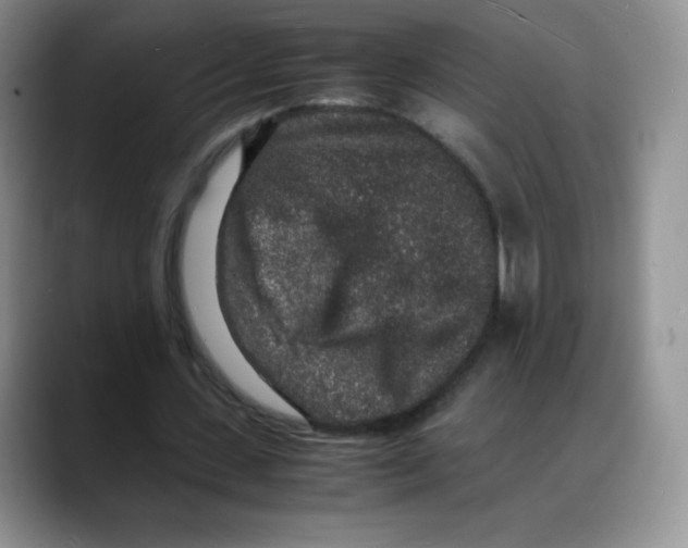 X0000088070531200706081711