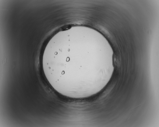 X0000088070532200706081711