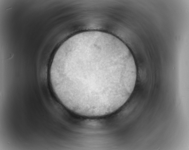 X0000088070534200706081711