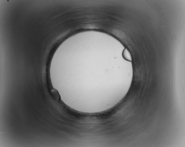 X0000088070535200706081711