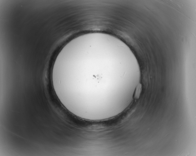 X0000088070536200706081711