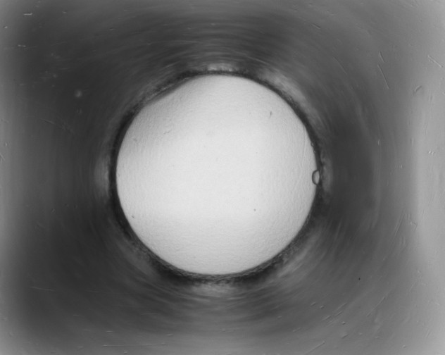 X0000088070537200706081711