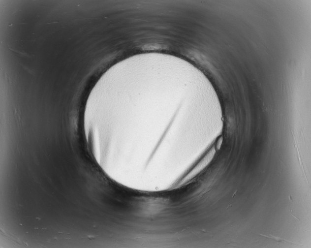 X0000088070539200706081711