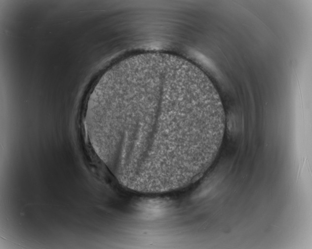 X0000088070540200706081711