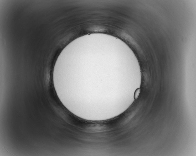X0000088070541200706081711