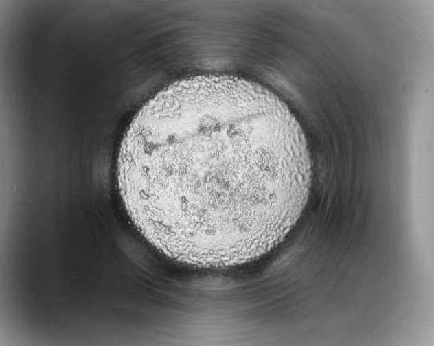 X0000088070542200706081711