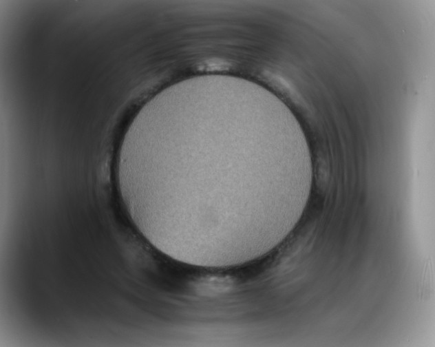 X0000088070543200706081711
