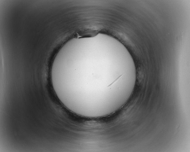 X0000088070544200706081711