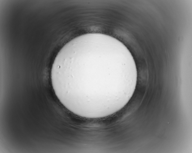 X0000088070545200706081711