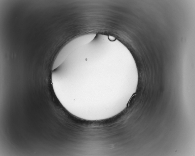 X0000088070546200706081711