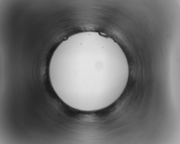 X0000088070548200706081711