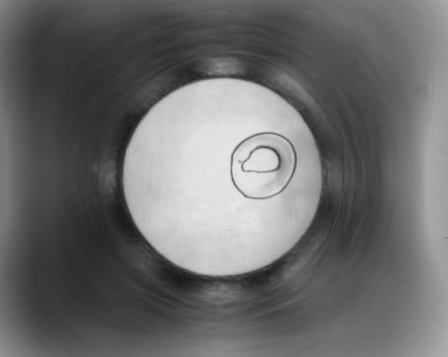 X0000088070549200706081711