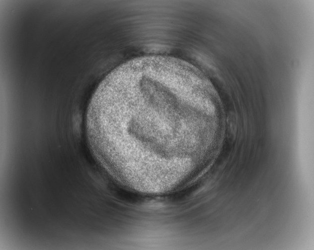 X0000088070550200706081711