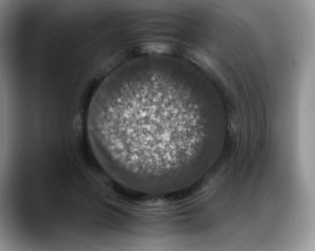 X0000088070551200706081711