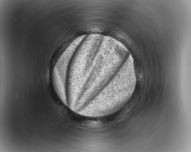 X0000088070552200706081712