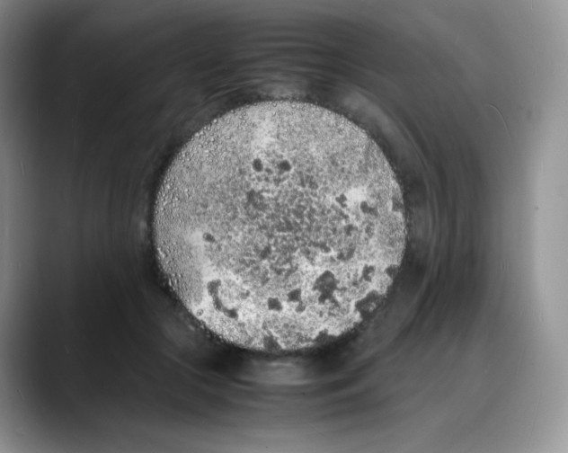 X0000088070553200706081712