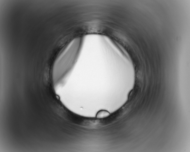 X0000088070554200706081712